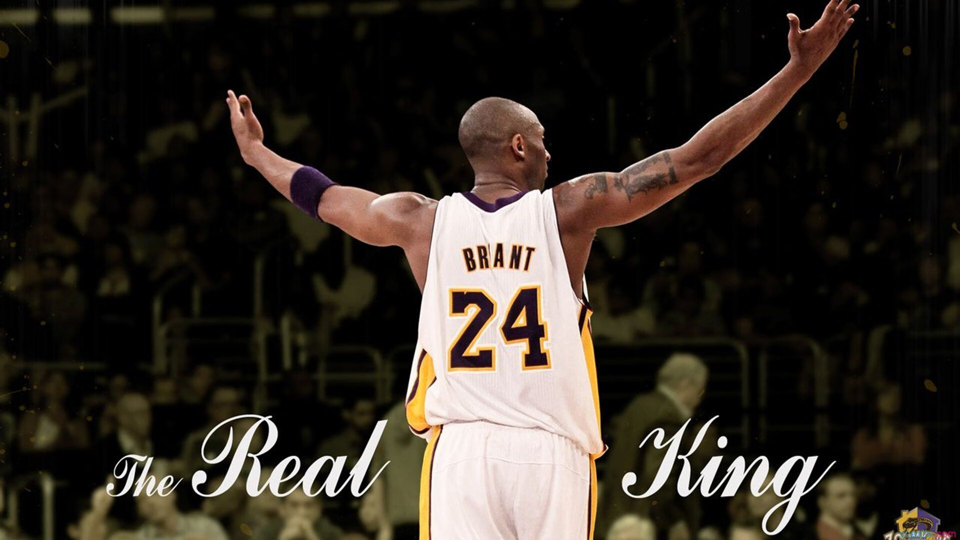 自由泳中距离韩国发挥出色，自由泳长距离视频